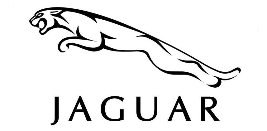 1497860141606640.jpg 0.jpg