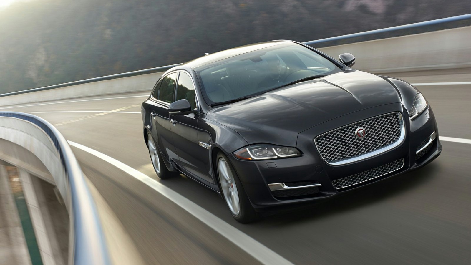 1497860268573383.jpg jaguar-016.jpg