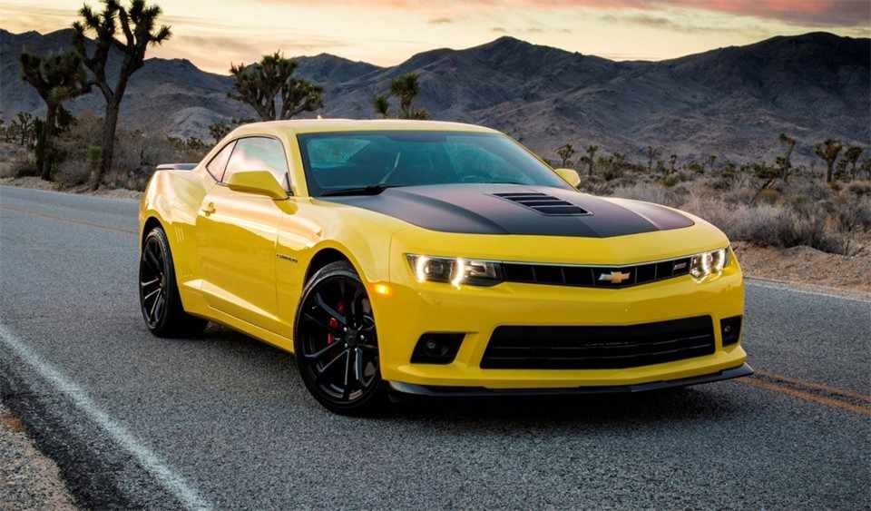 1653373350964559.jpg R-C.jpg